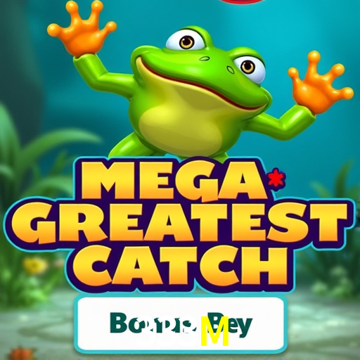 333M.Com